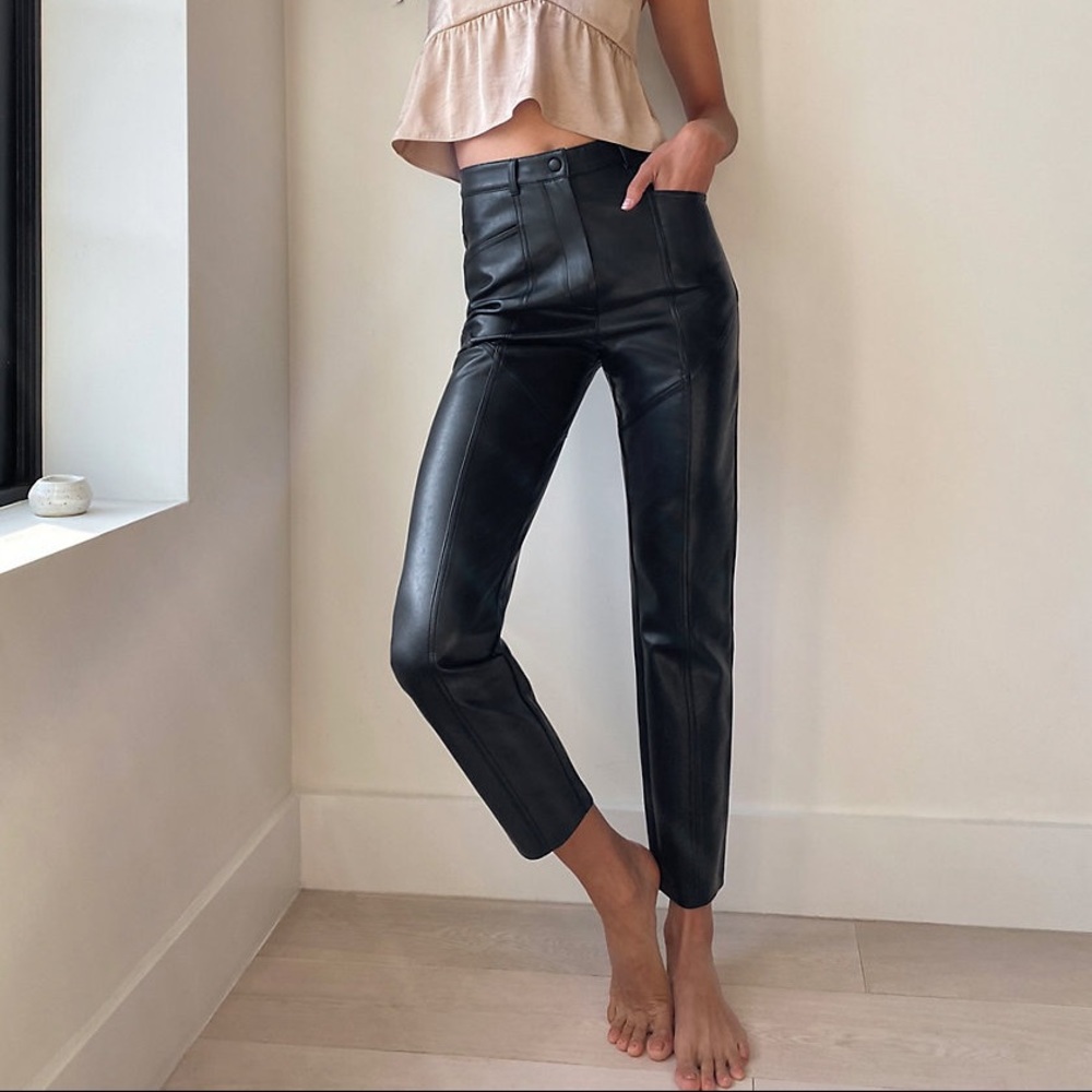 ARITZIA Rebel Leather Pant